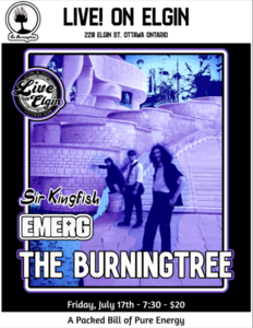The Burningtree's Blue Briefcase Tour with Emerg and Sir Kingfish